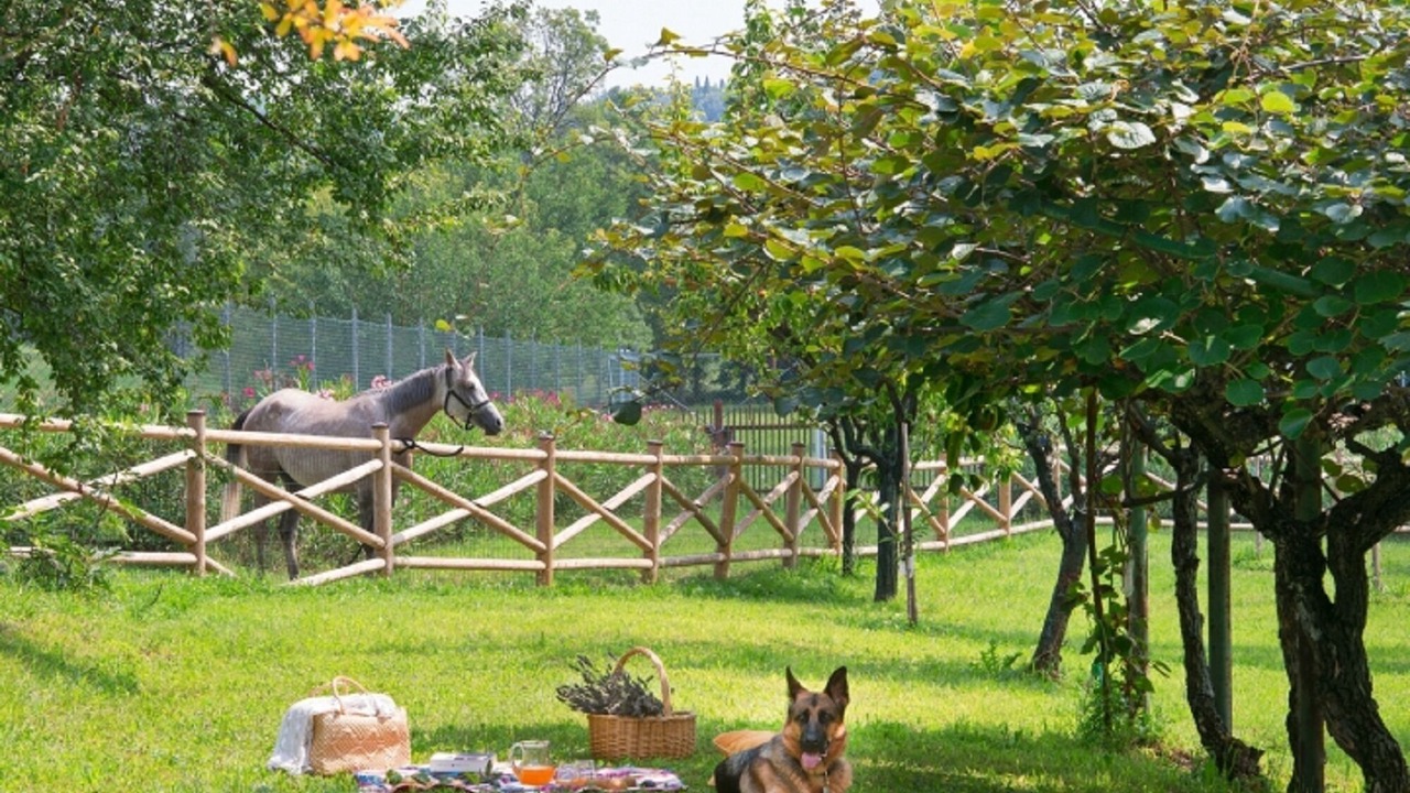 Photo of Outdoor in Santigaro