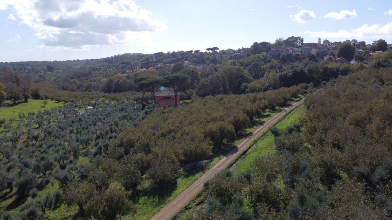 Photo of Others in Poggio