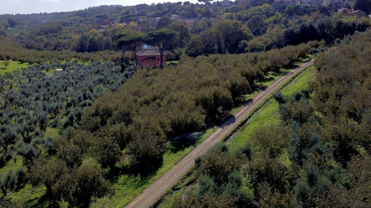 Photo of Others in Poggio