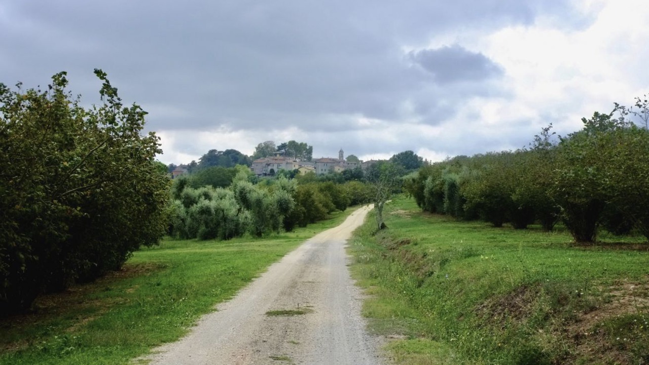 Photo of Others in Poggio