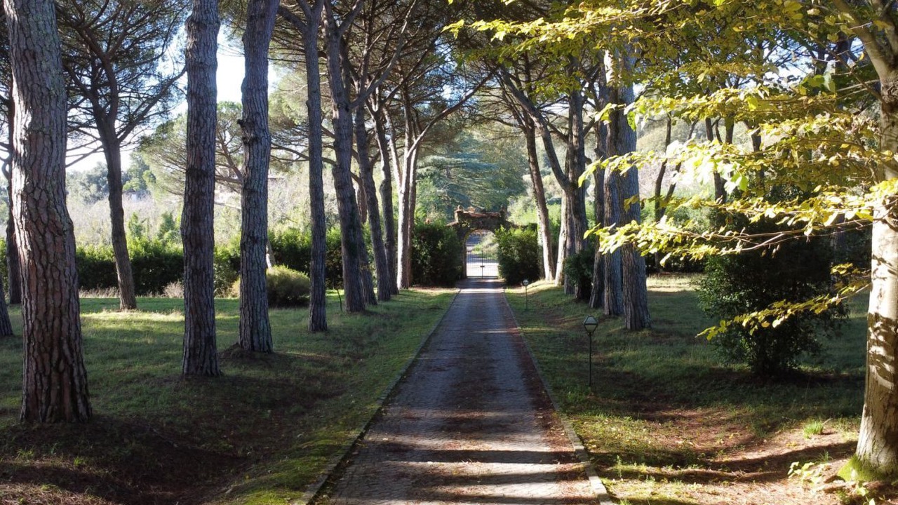 Photo of Others in Poggio