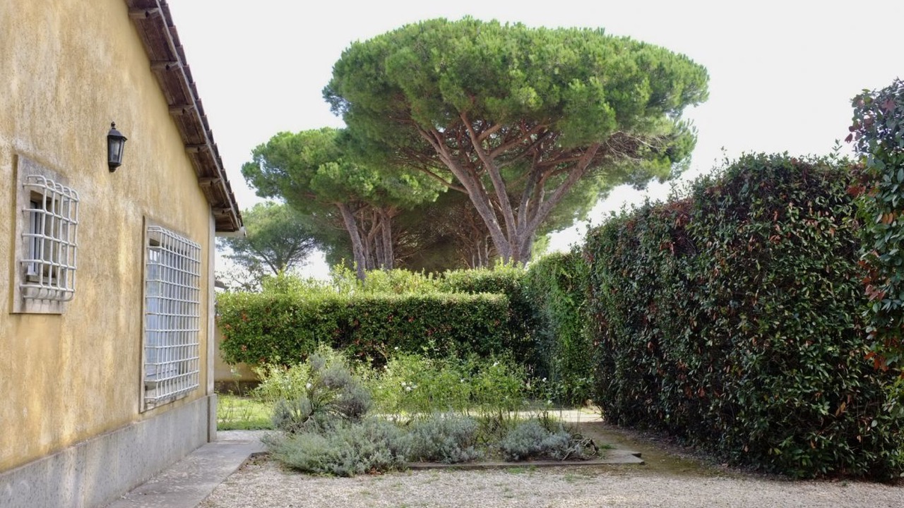Photo of Outdoor in Poggio
