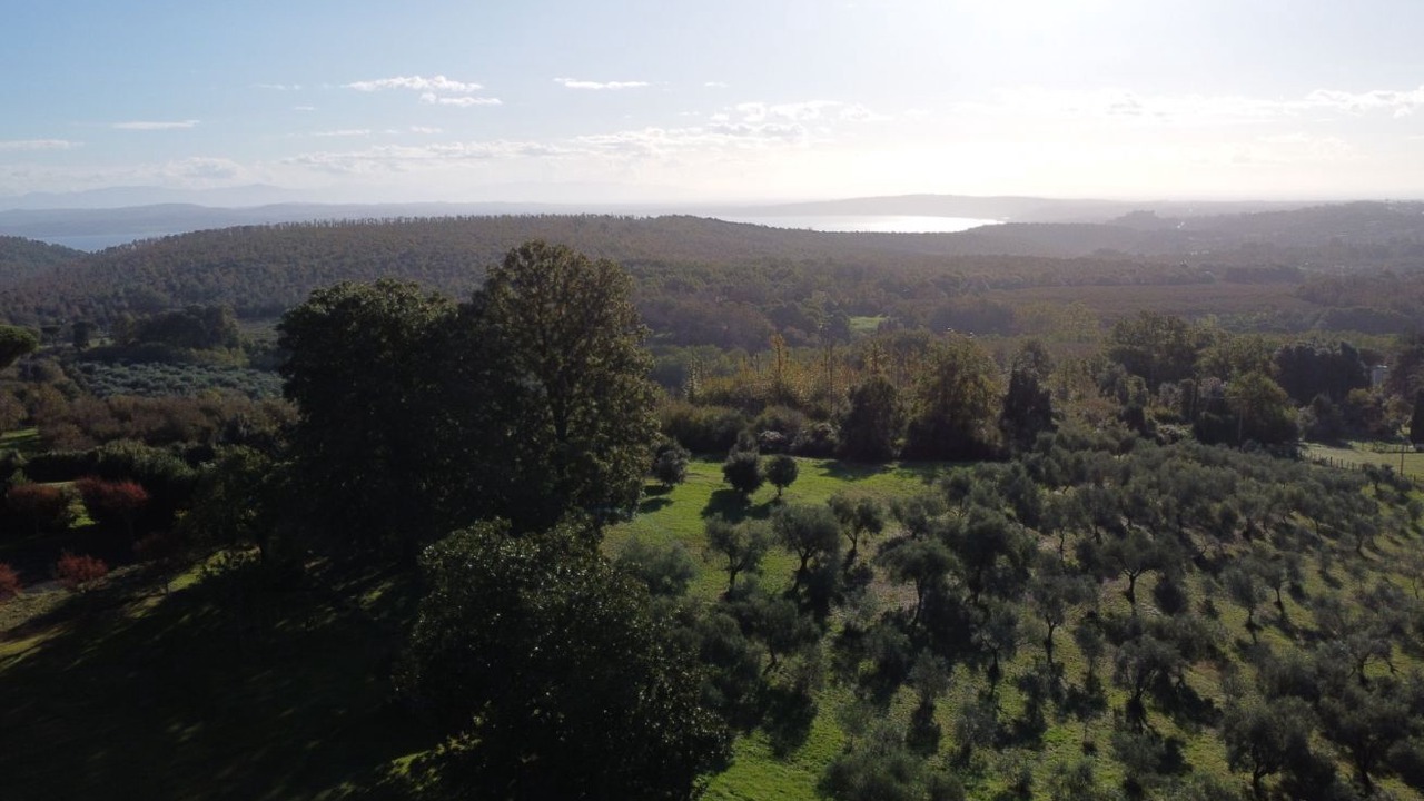Photo of Others in Poggio