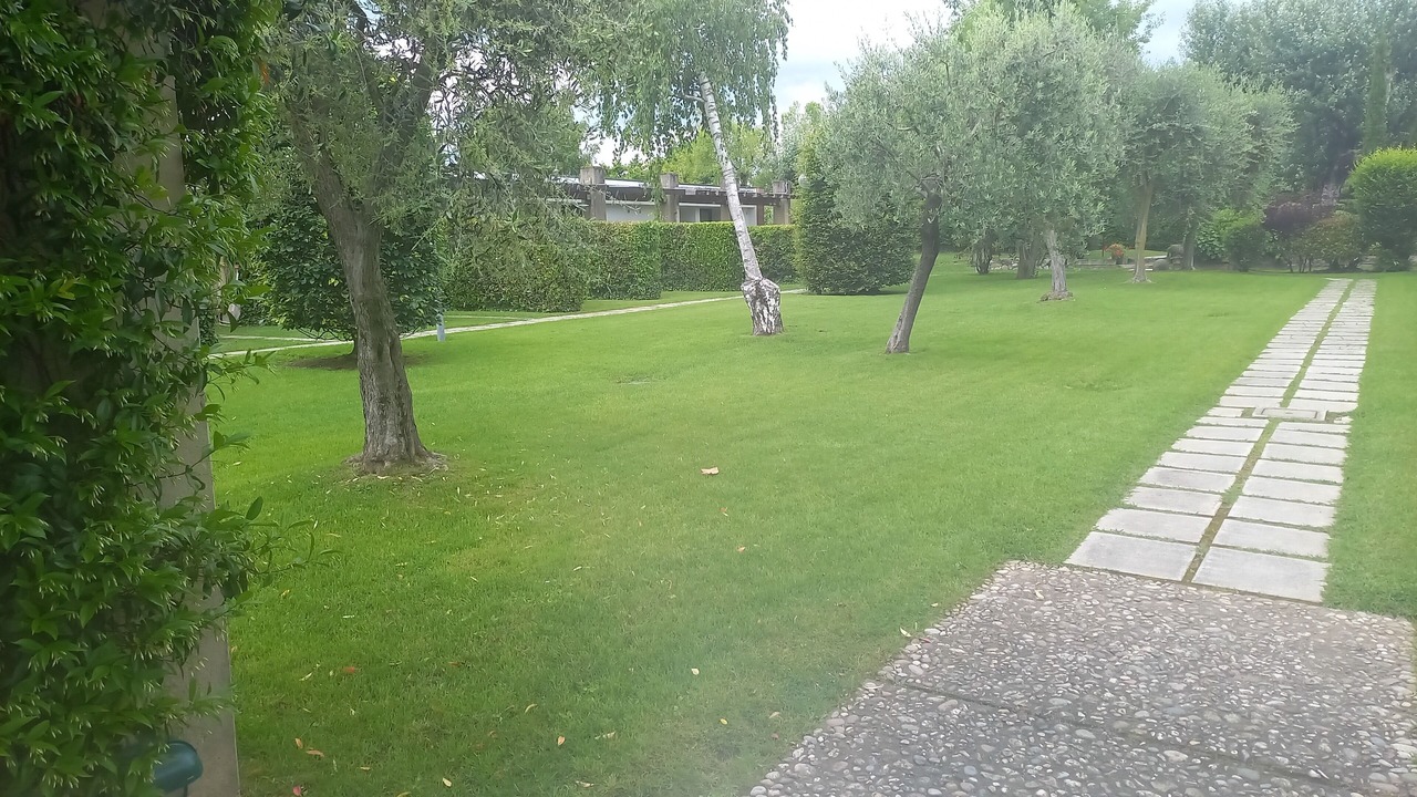 Photo of Outdoor in Iseo