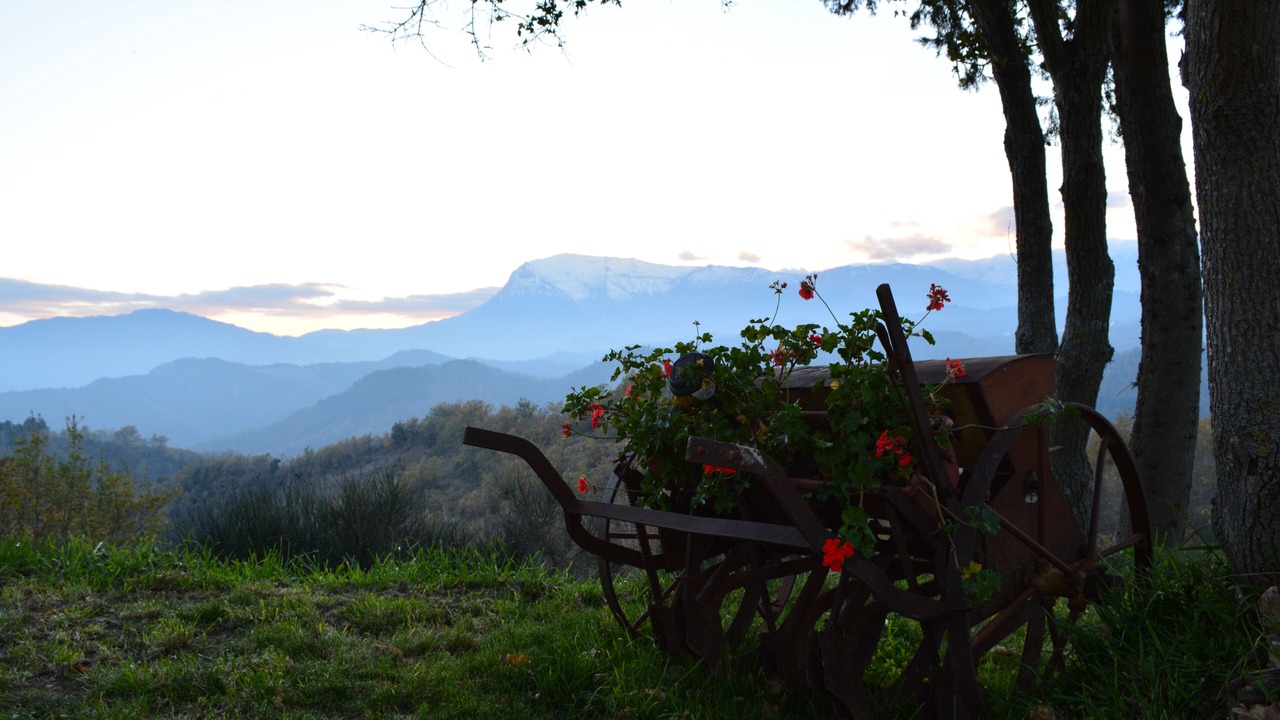 Photo of Outdoor in Comunanza