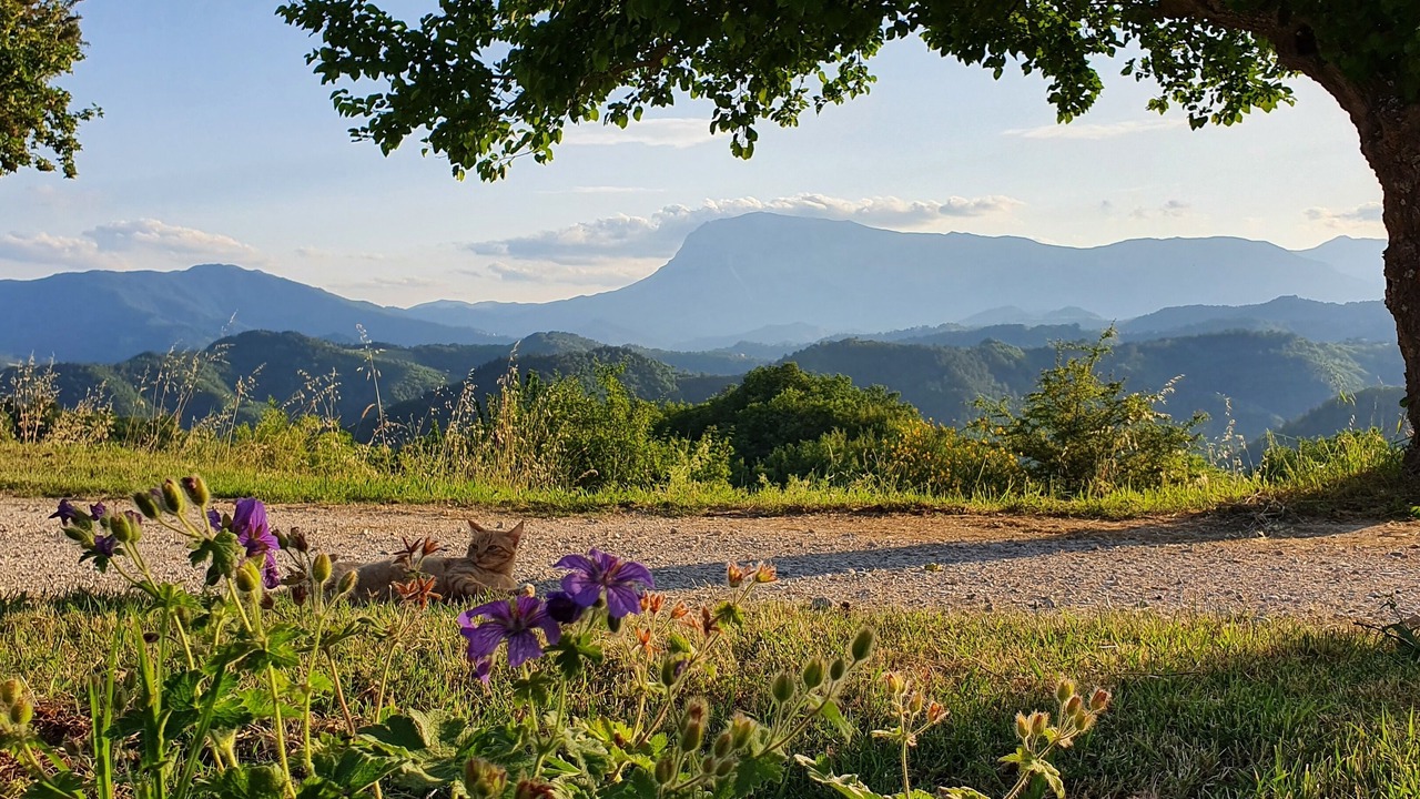 Photo of Outdoor in Comunanza