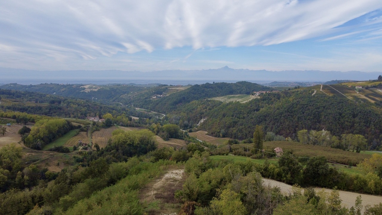 Photo of Outdoor in Roddino