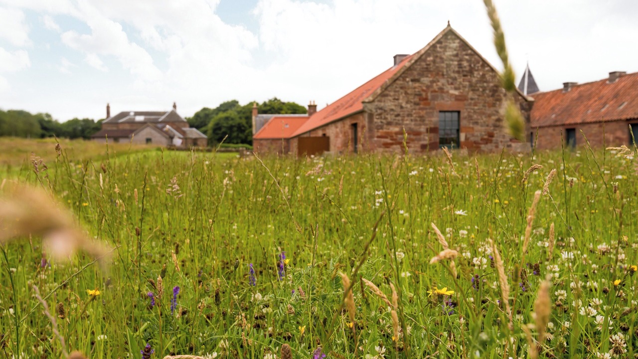 Photo of Outdoor in Haddington