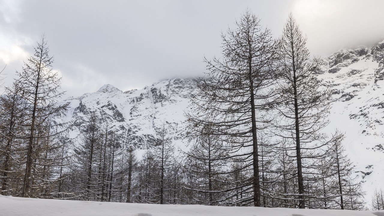 Photo of Others in Cervinia