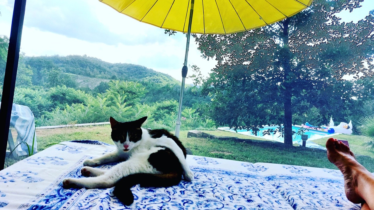 Photo of Outdoor in Odalengo Grande