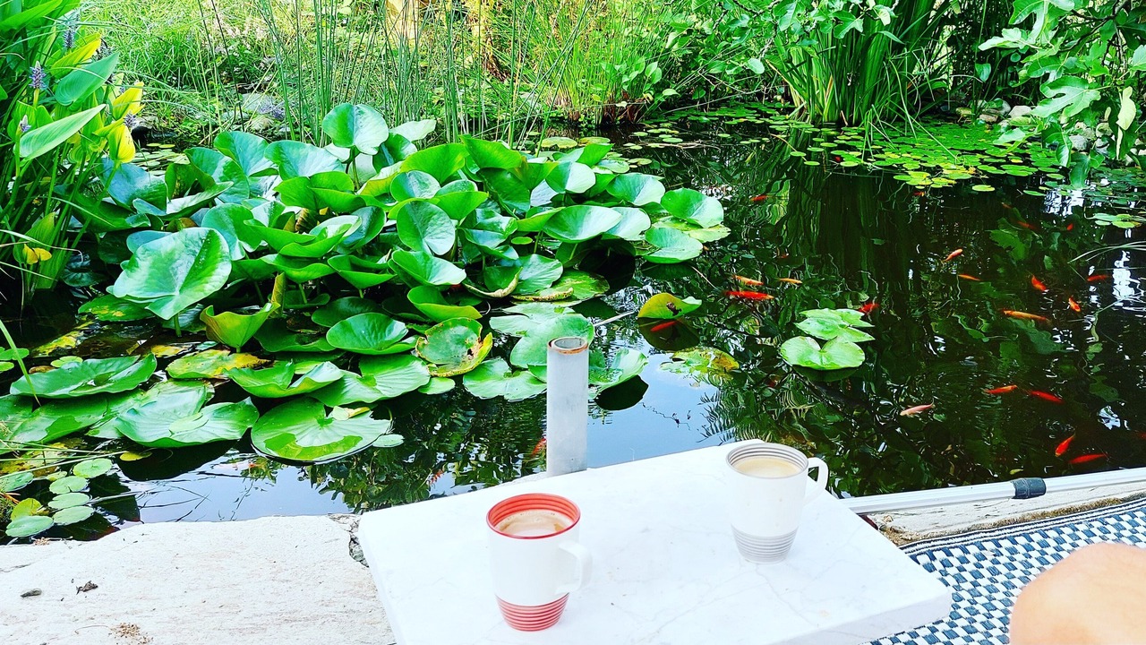 Photo of Outdoor in Odalengo Grande