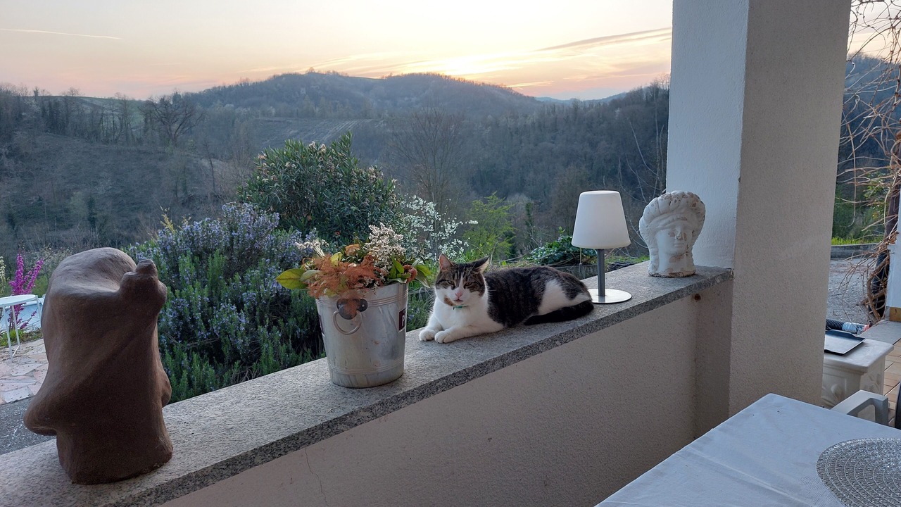 Photo of Outdoor in Odalengo Grande