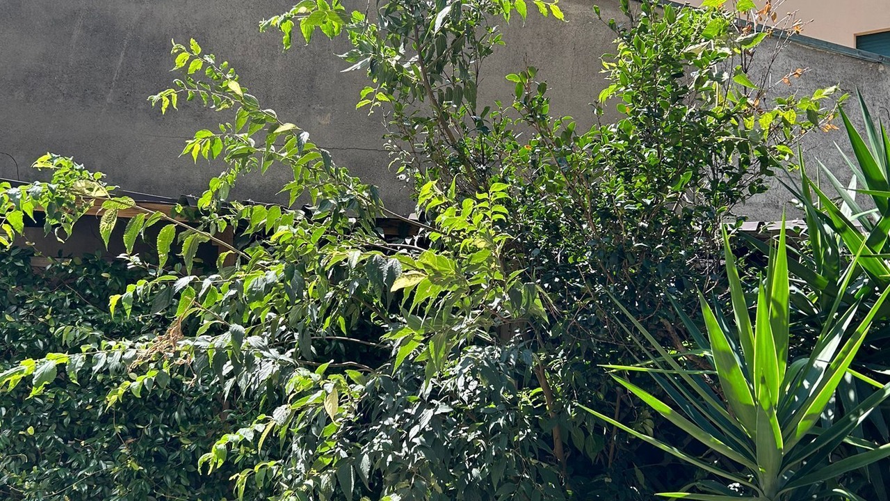 Photo of Outdoor in Garegnano