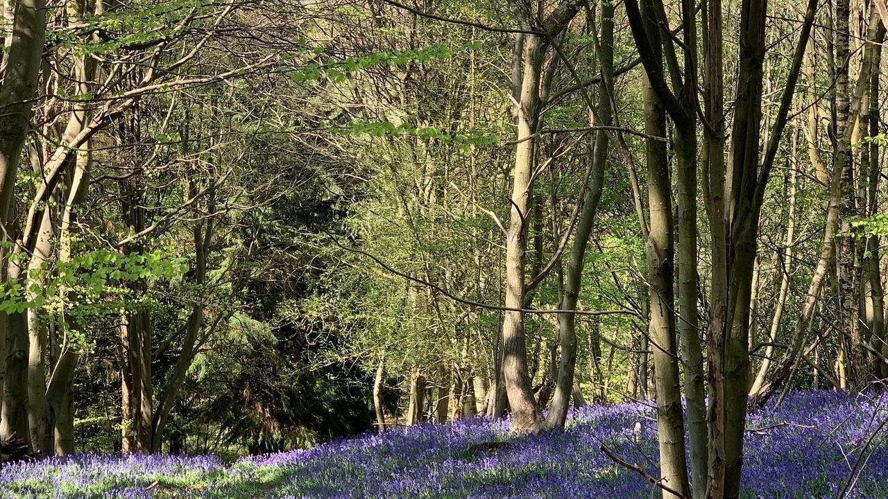 Photo of Outdoor in Uckfield