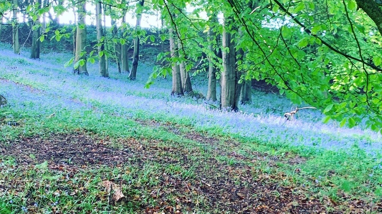 Photo of Others in Uckfield