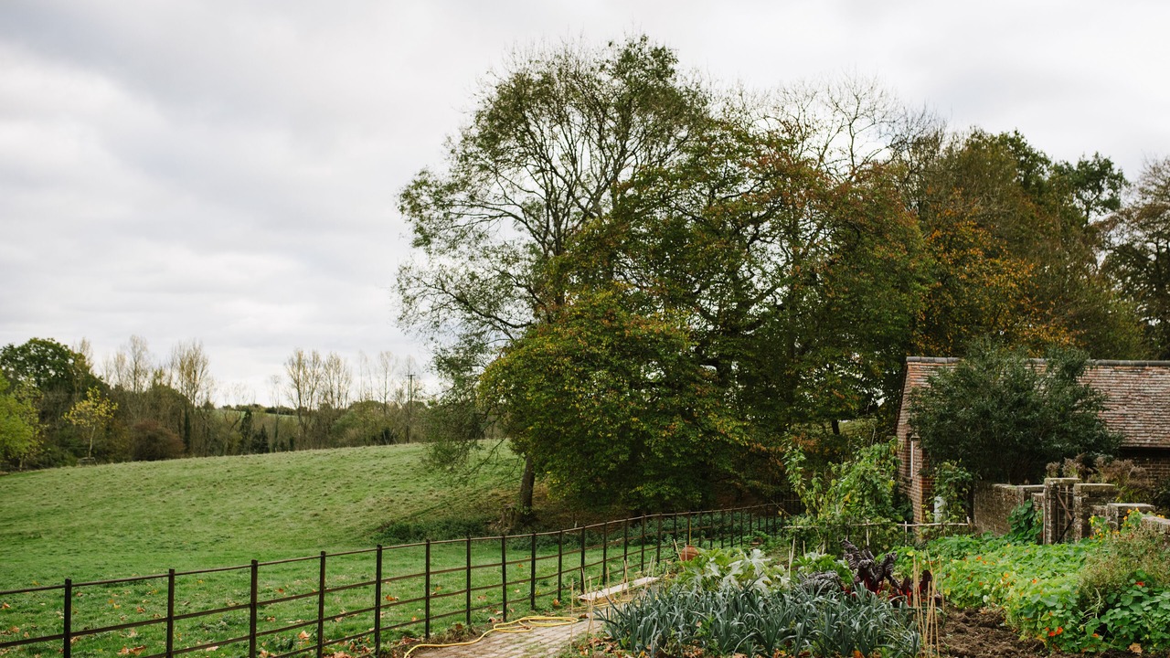 Photo of Outdoor in Uckfield