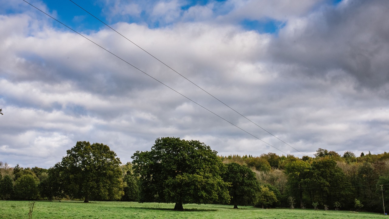 Photo of Outdoor in Uckfield