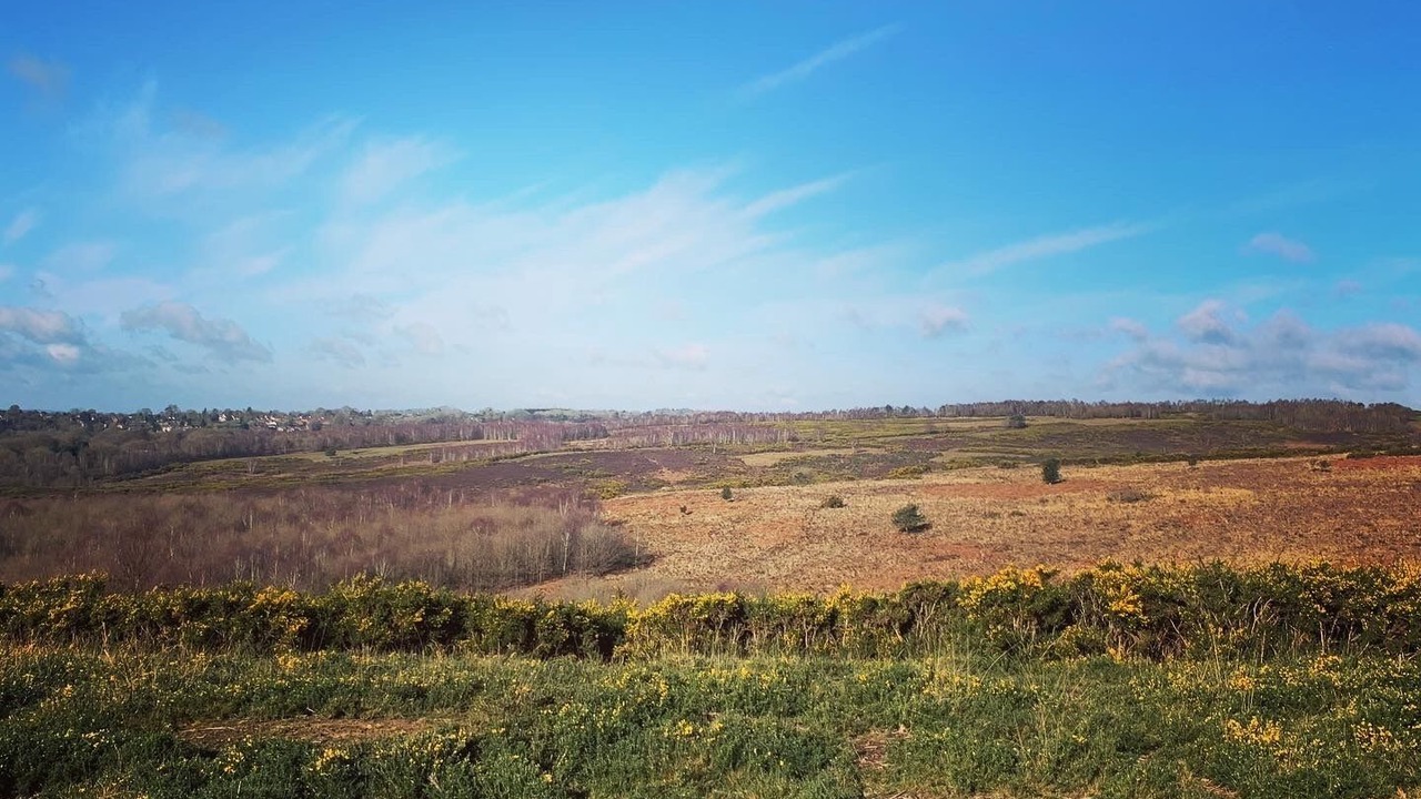 Photo of Outdoor in Uckfield