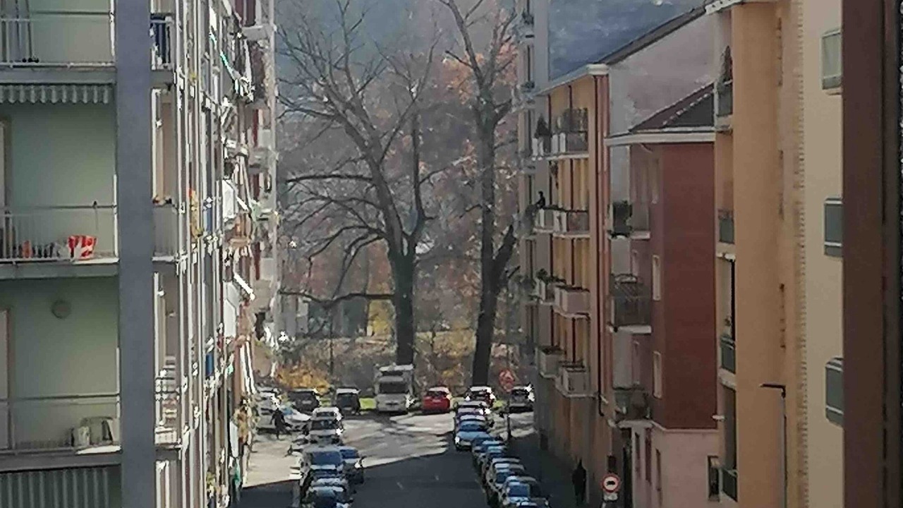 Photo of Others in Vanchiglietta