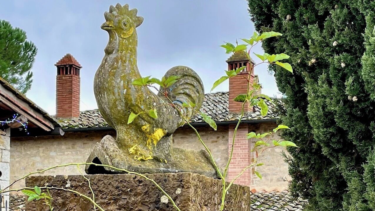Photo of Outdoor in Radda in Chianti