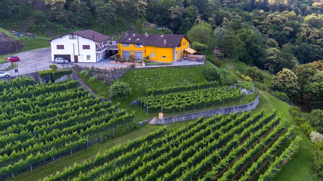 Photo of Outdoor in Giubiasco