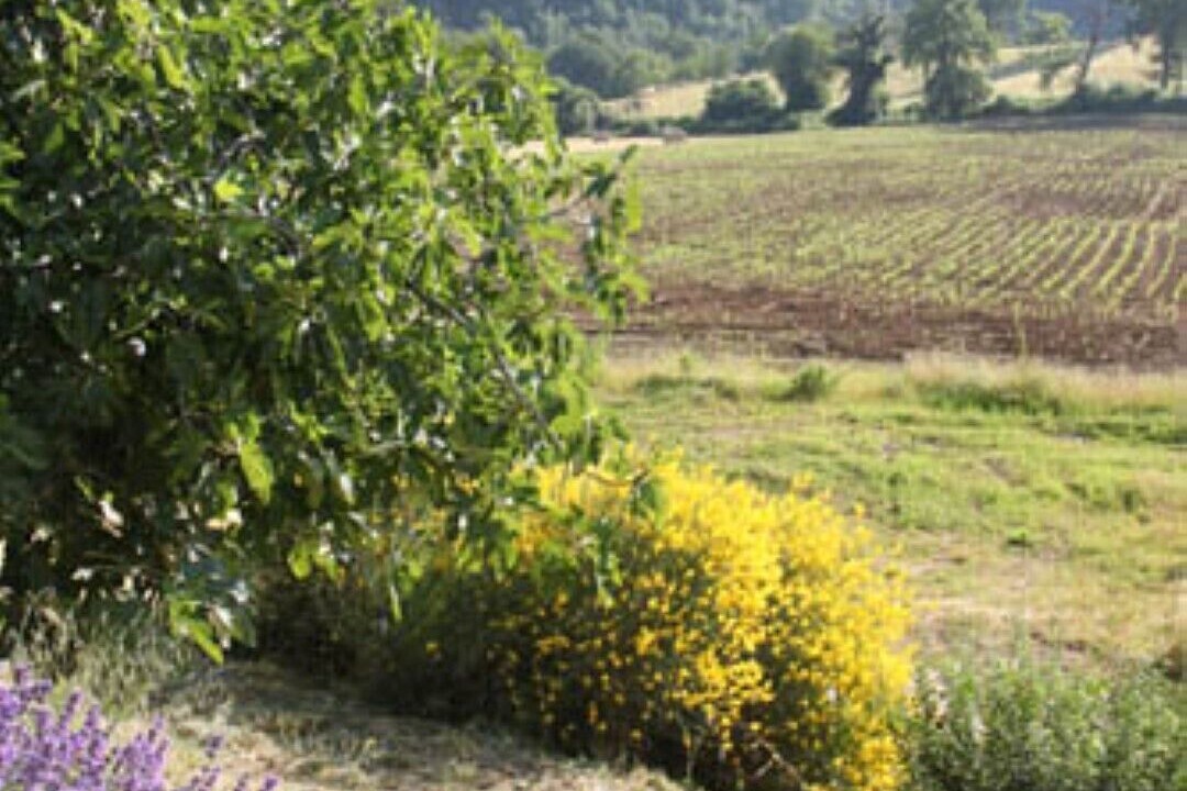 Photo of Outdoor in Camerino