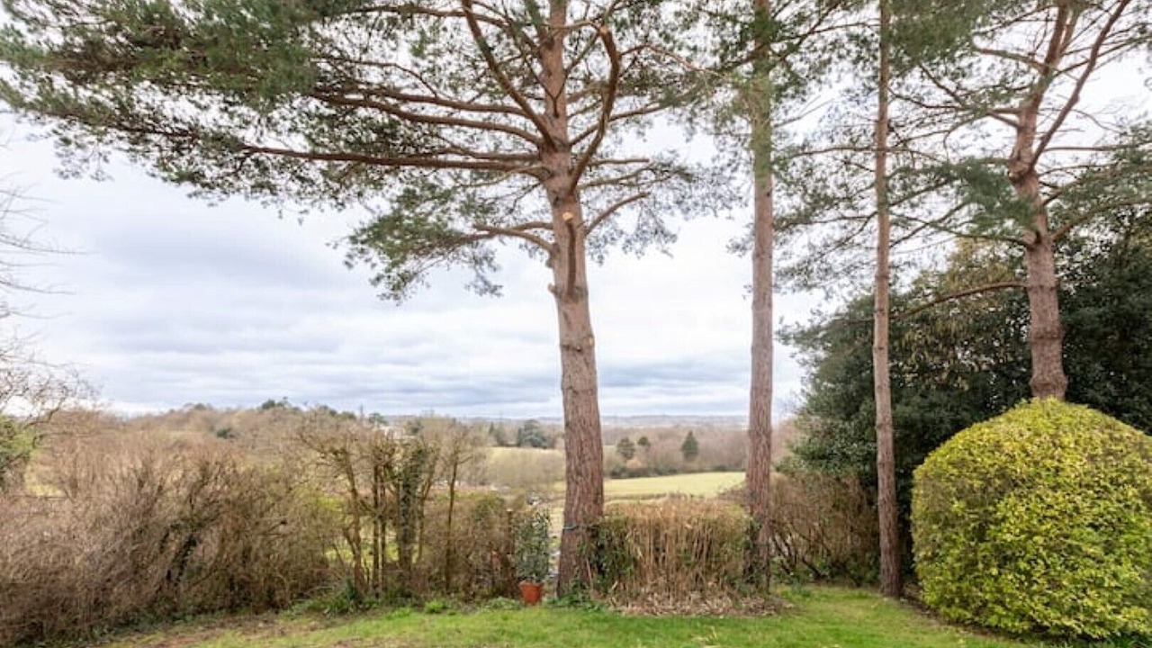 Photo of Outdoor in Piltdown