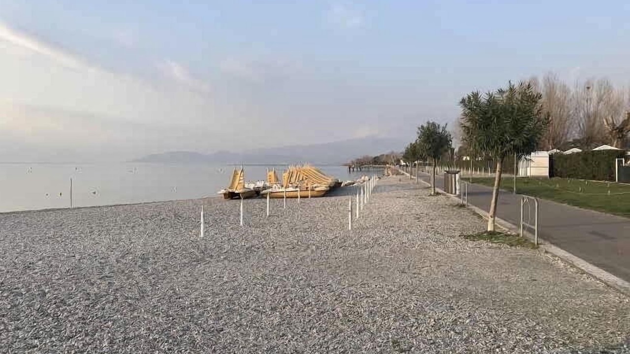 Photo of Others in Peschiera del Garda