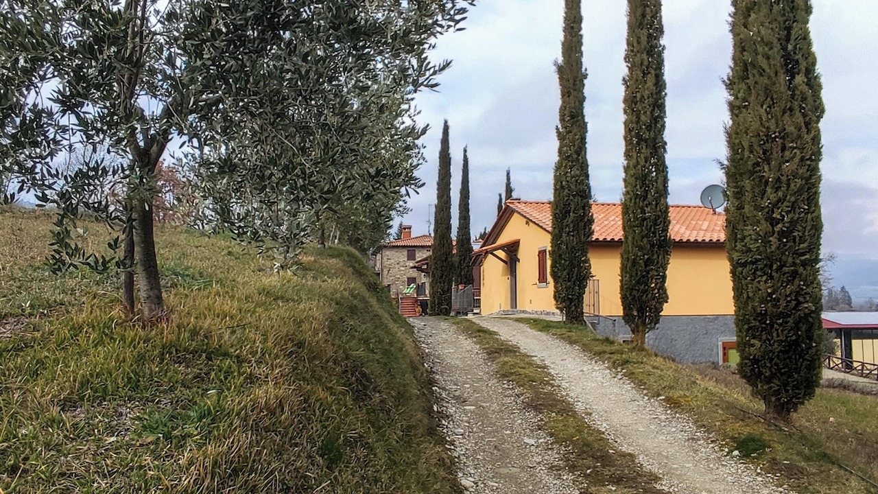 Photo of Outdoor in Caprese Michelangelo