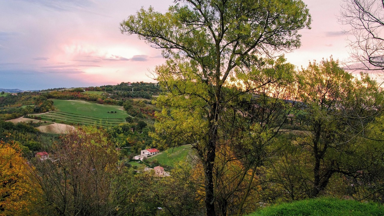 Photo of Others in Mondavio