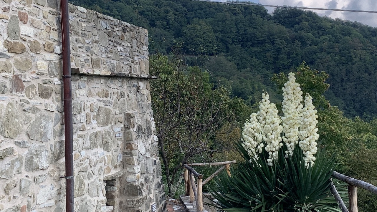 Photo of Outdoor in Zeri