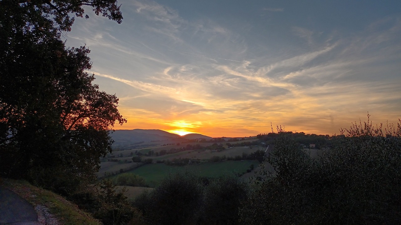 Photo of Outdoor in Mondavio