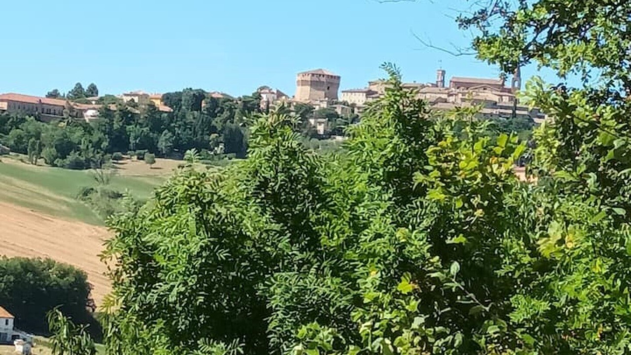 Photo of Outdoor in Mondavio