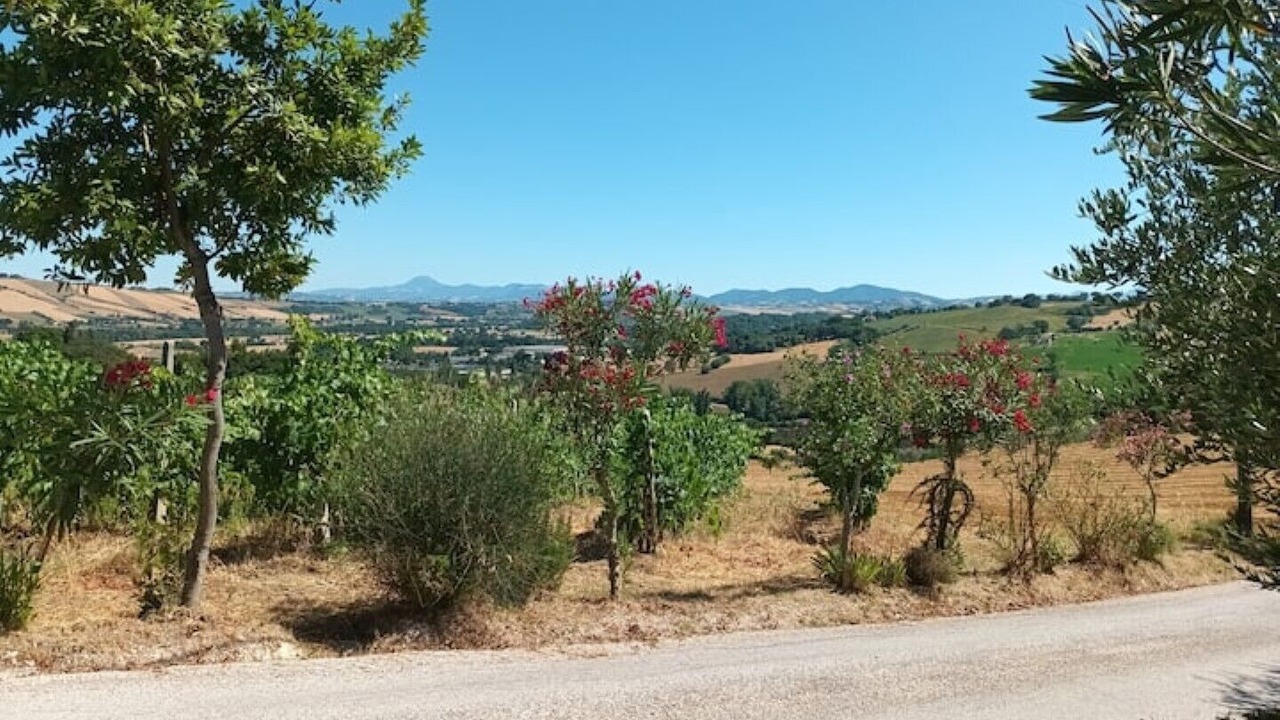 Photo of Outdoor in Mondavio