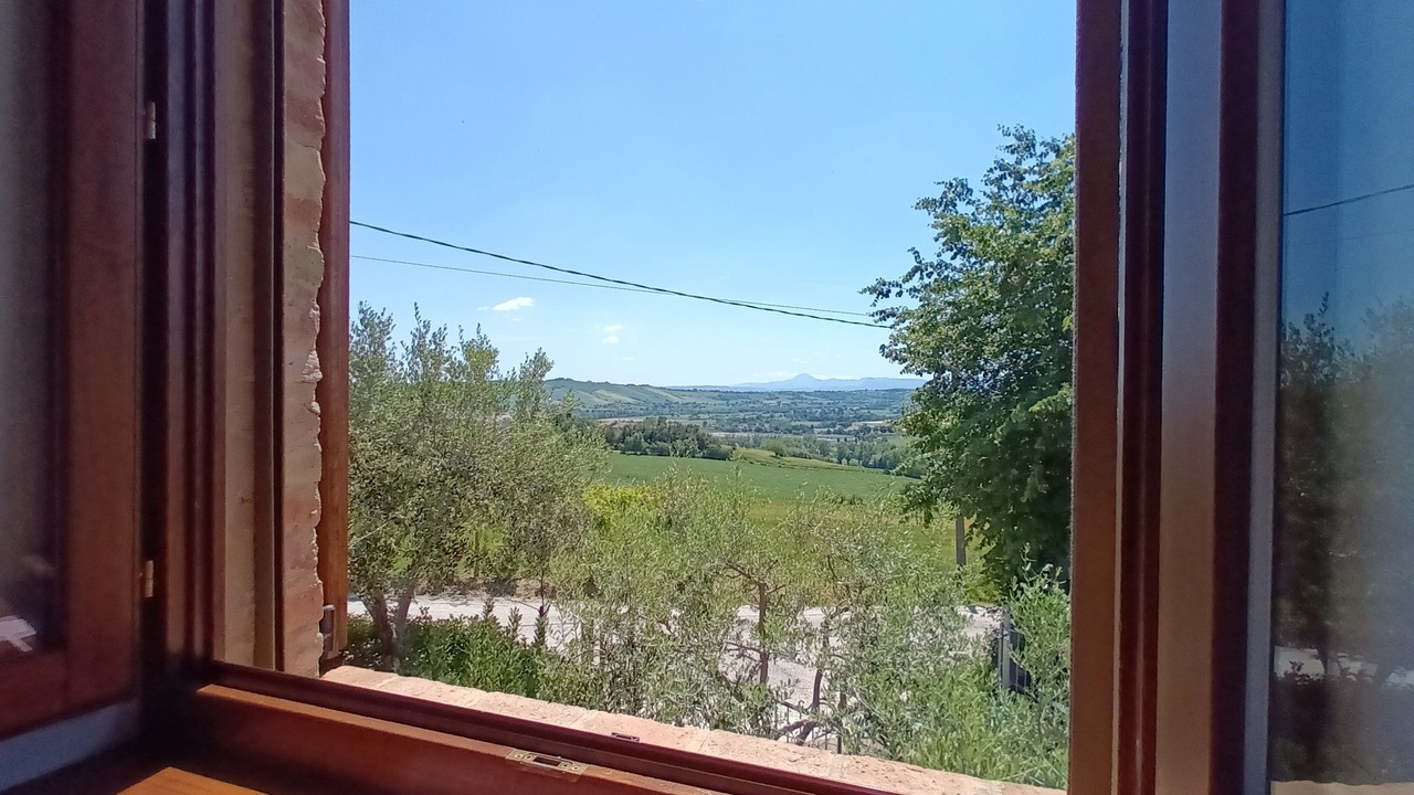 Photo of Others in Mondavio