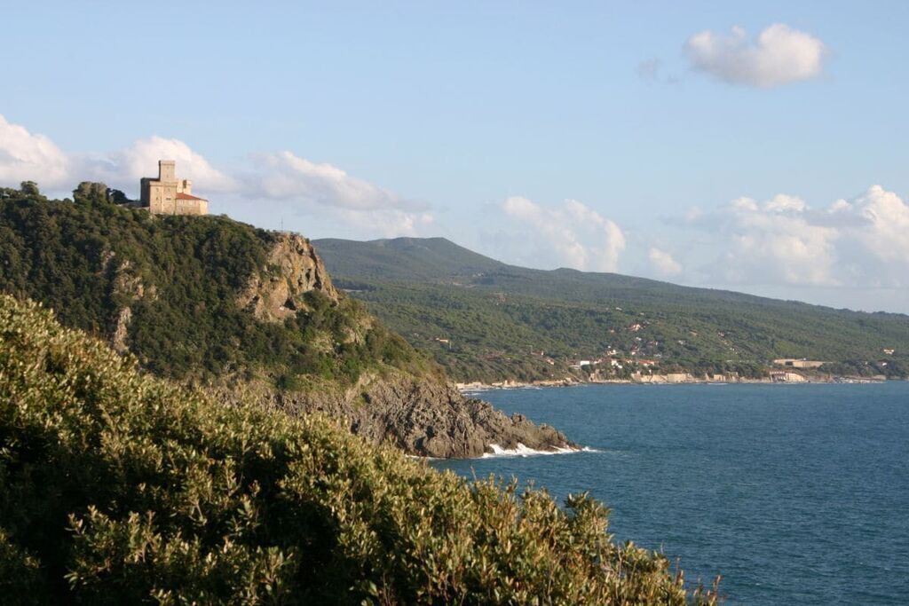 Photo of Others in Livorno