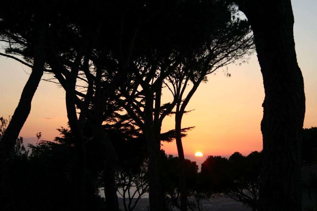 Photo of Others in Livorno