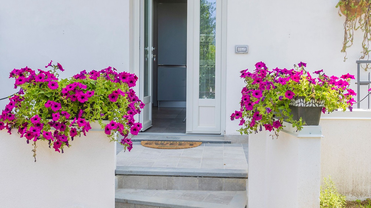 Photo of Outdoor in San Lazzaro