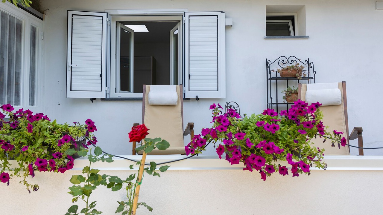 Photo of Outdoor in San Lazzaro