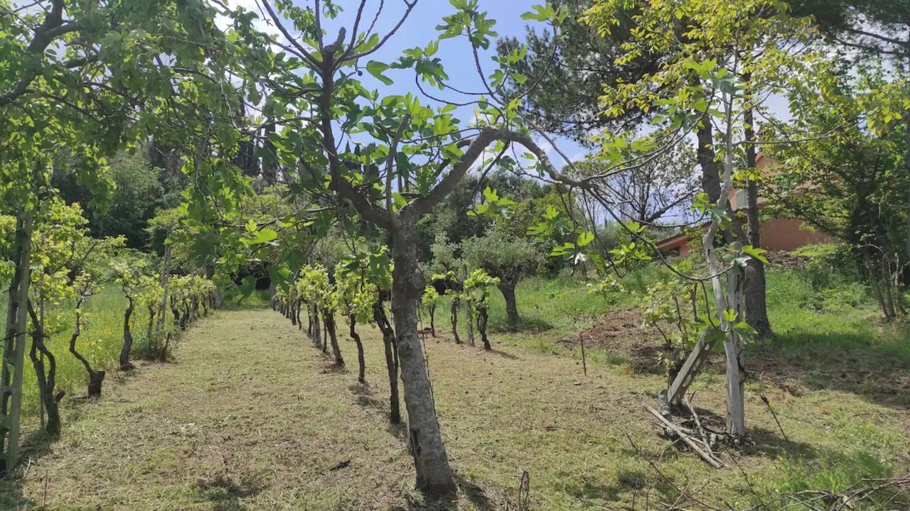 Photo of Outdoor in Torre San Patrizio