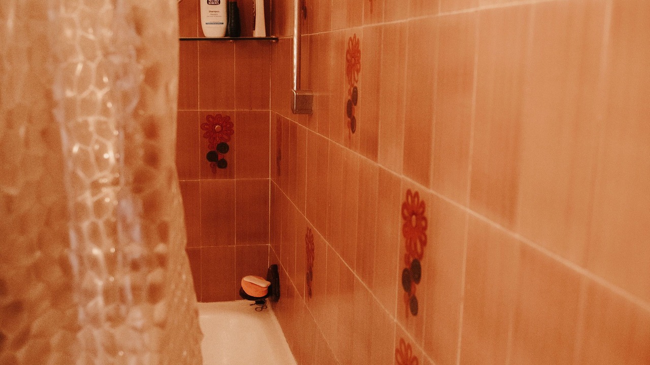 Photo of Bathroom in Tolfa