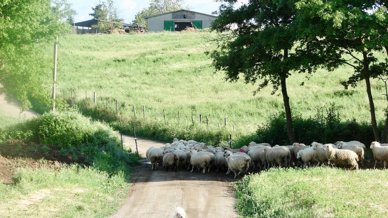 Photo of Outdoor in Lubriano