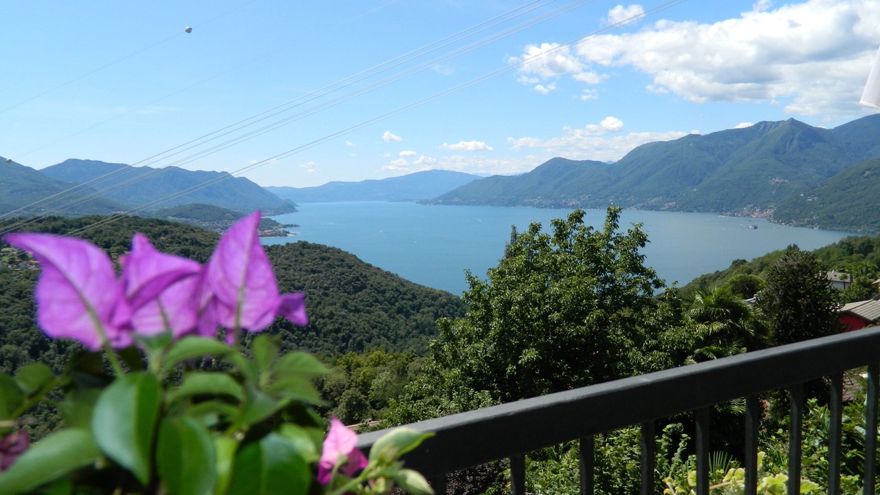 Photo of Outdoor in Vignone