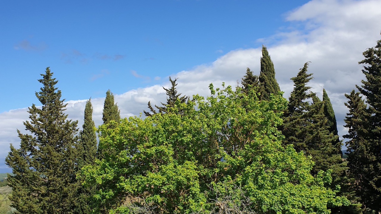 Photo of Outdoor in Tavarnelle Val di Pesa