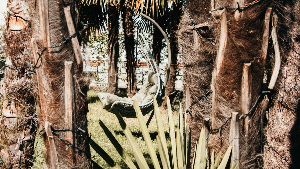 Photo of Others in Solcio