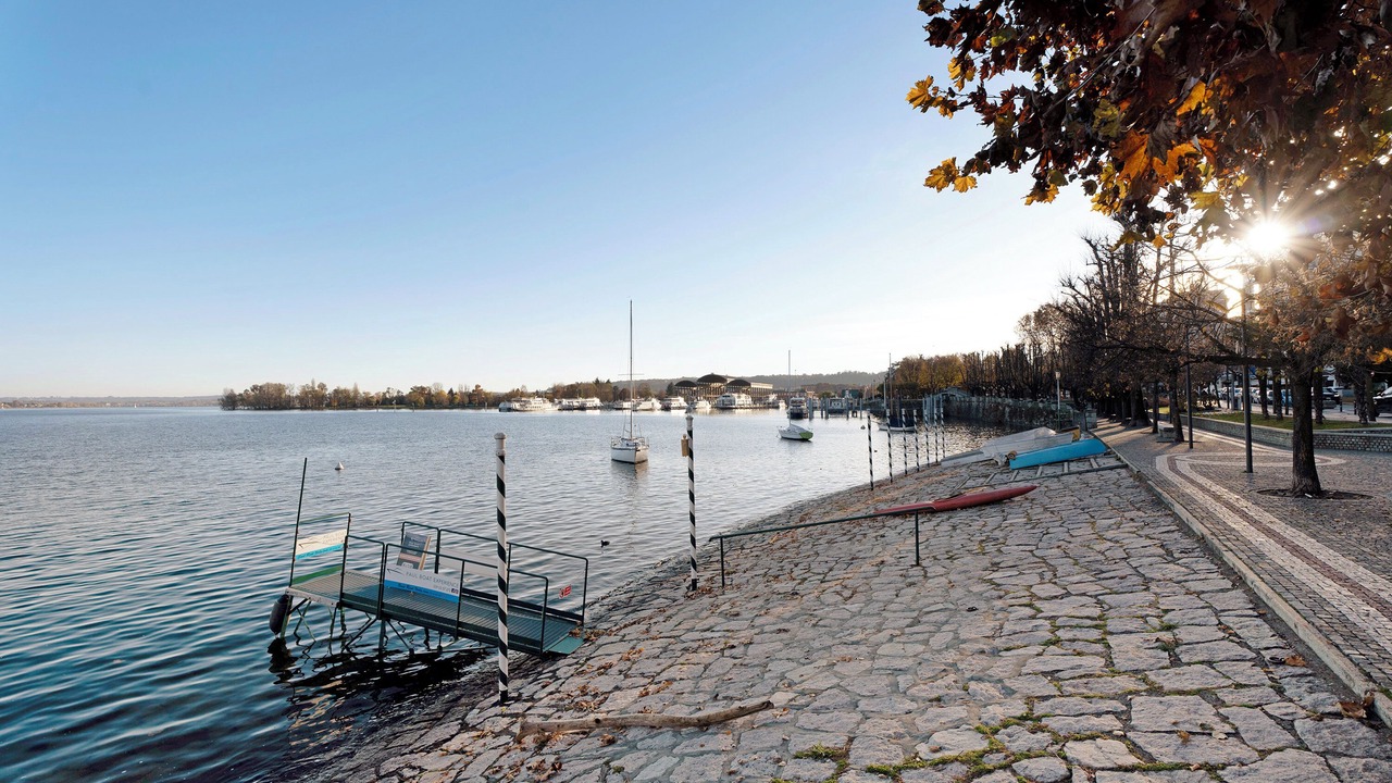 Photo of Others in Arona