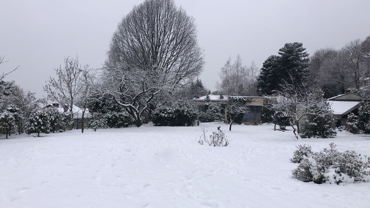 Photo of Outdoor in Massino Visconti