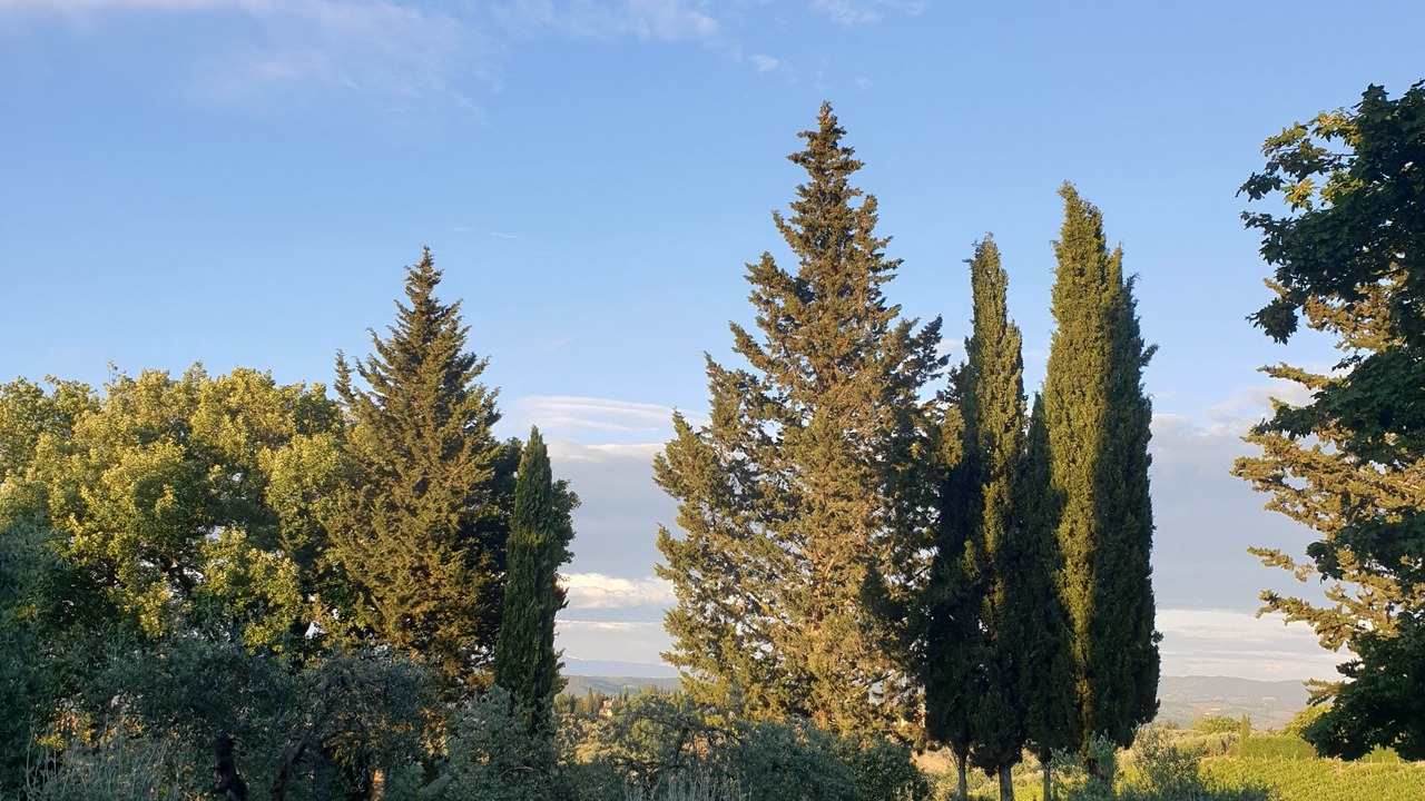Photo of Outdoor in Tavarnelle Val di Pesa