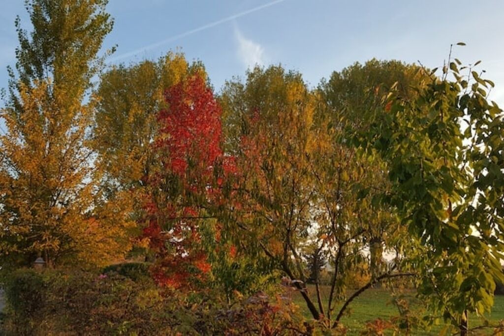 Photo of Outdoor in Sala Bolognese