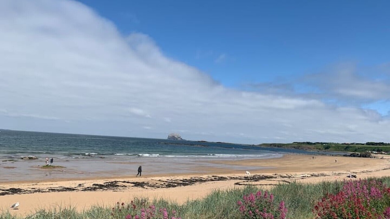 Photo of Others in North Berwick